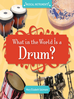 cover image of What in the World Is a Drum?